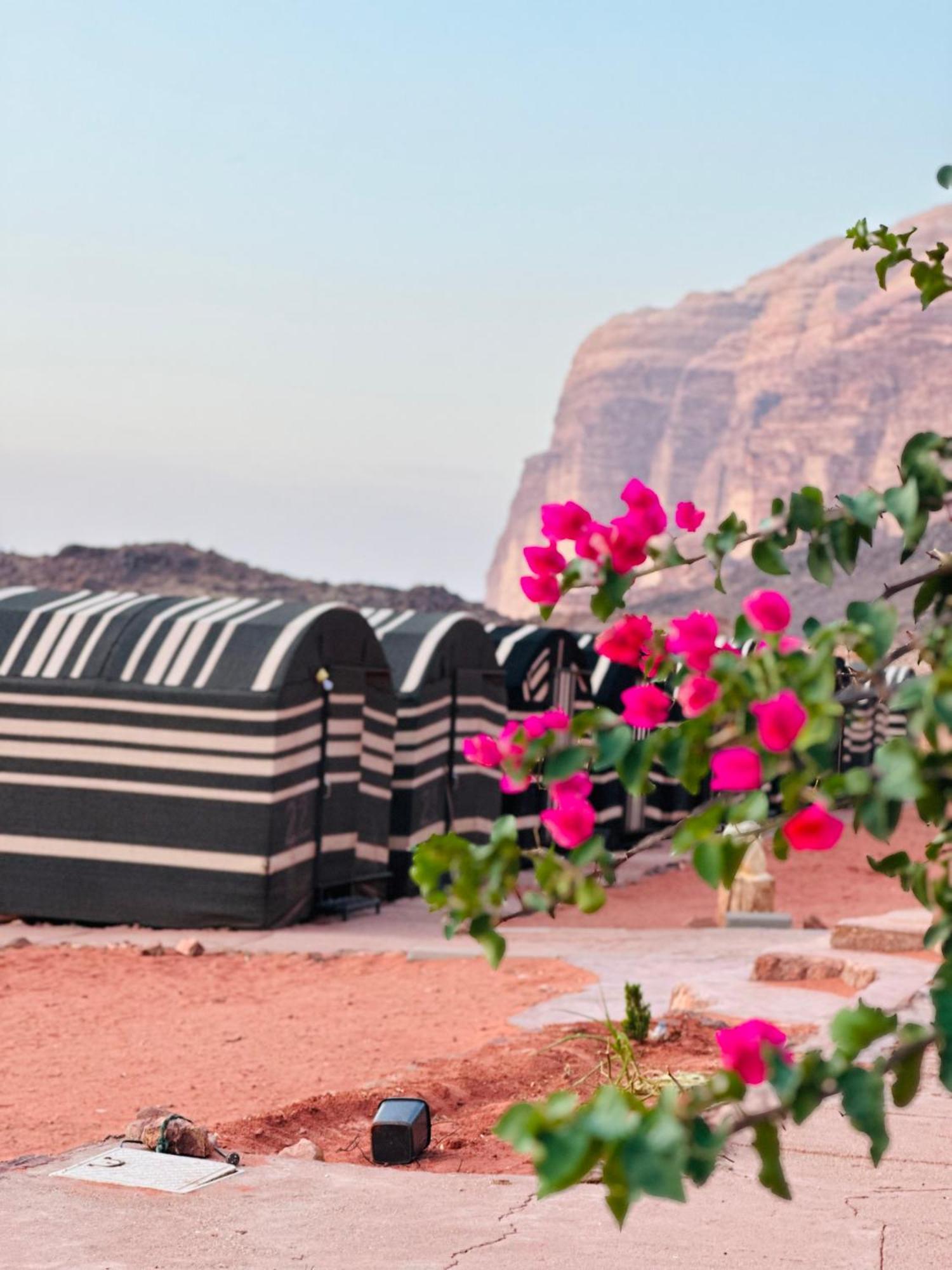 Apartmán Sunset Dreams Camp Wadi Rum Exteriér fotografie